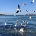 Avatar of Abdul Rahman