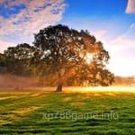 Avatar of Shabbir Abbasi